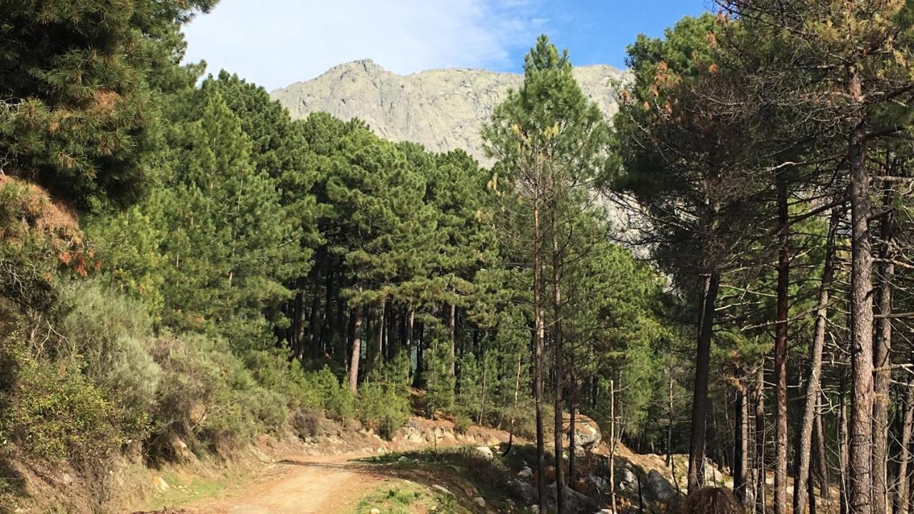 Villarejo del Valle La Calleja מראה חיצוני תמונה